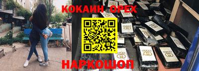 дмт Кингисепп