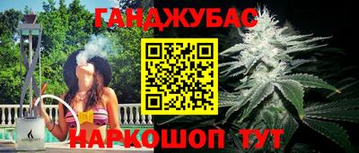 дмт Кингисепп