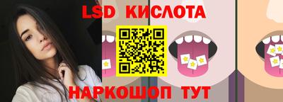 дмт Кингисепп