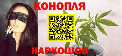 дмт Кингисепп