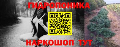 круглые Кимры