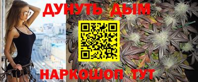 дмт Кингисепп