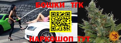дмт Кингисепп