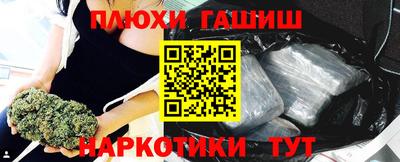 дмт Кингисепп