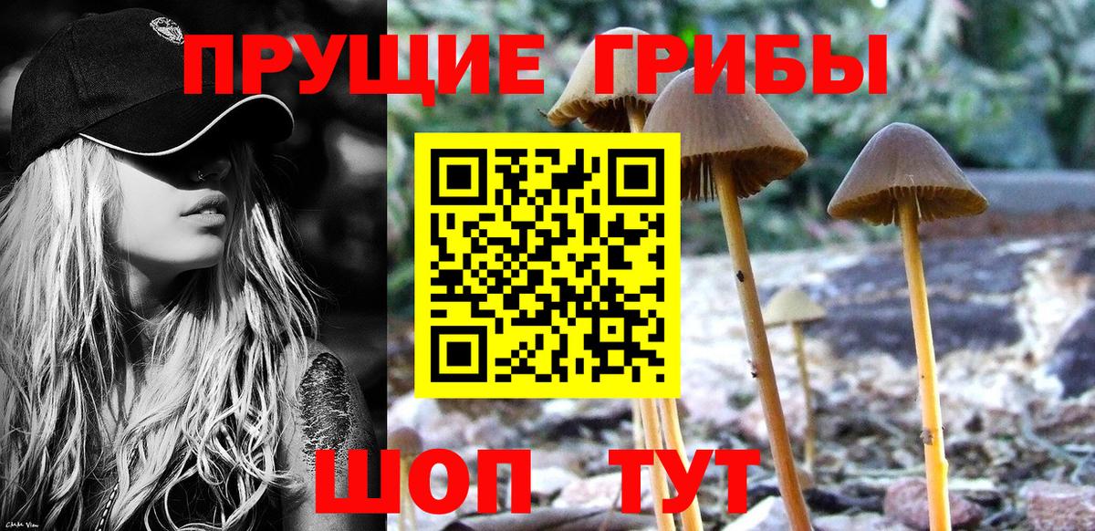 Псилоцибиновые грибы ЛСД  Вход с VPN  Галлюциногенные грибы мицелий  Ишимбай 